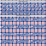 Custom White Royal-Red 3D Pattern Design Patriotic American Symbol Plaid Authentic Baseball Jersey