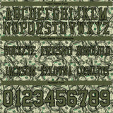 Custom Green Olive-Black 3D Pattern Dollar Mesh Authentic Football Jersey