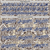 Custom Cream Navy-White 3D Pattern Design Burner Costumes Paisley Bandana Authentic Baseball Jersey