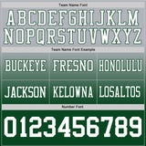 Custom Gray White-Green Mesh Authentic Fade Fashion Football Jersey