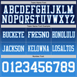Custom Navy White-Powder Blue Mesh Authentic Fade Fashion Football Jersey