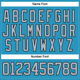 Custom Panther Blue Gray-Black Hockey Lace Neck Jersey