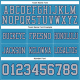 Custom Panther Blue Gray-Navy Mesh Authentic Football Jersey