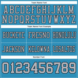 Custom Panther Blue Gray-Black Mesh Authentic Football Jersey