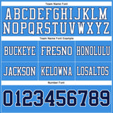 Custom Powder Blue Navy-White Mesh Authentic Football Jersey