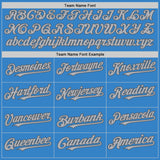 Custom Powder Blue Gray-Steel Gray Authentic Sleeveless Baseball Jersey