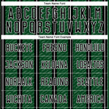 Custom Black Green-White Line Sublimation Soccer Uniform Jersey