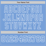 Custom Light Blue White-Light Blue Pinstripe Authentic Split Fashion Baseball Jersey
