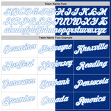 Custom Royal White-Light Blue Split Fashion Performance T-Shirt