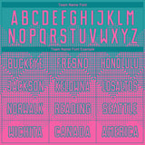 Custom Teal Pink Round Neck Sublimation Basketball Suit Jersey