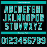 Custom Black Aqua-White Seated Cat 3D Pattern Design Bomber Full-Snap Varsity Letterman Jacket