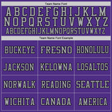 Custom Purple Black-Gray Mesh Authentic Football Jersey