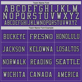 Custom Purple Gray-Black Mesh Authentic Football Jersey