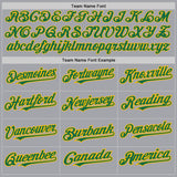Custom Gray Kelly Green-Gold Authentic Raglan Sleeves Baseball Jersey