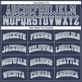 Custom Navy Silver-White Authentic Drift Fashion Baseball Jersey